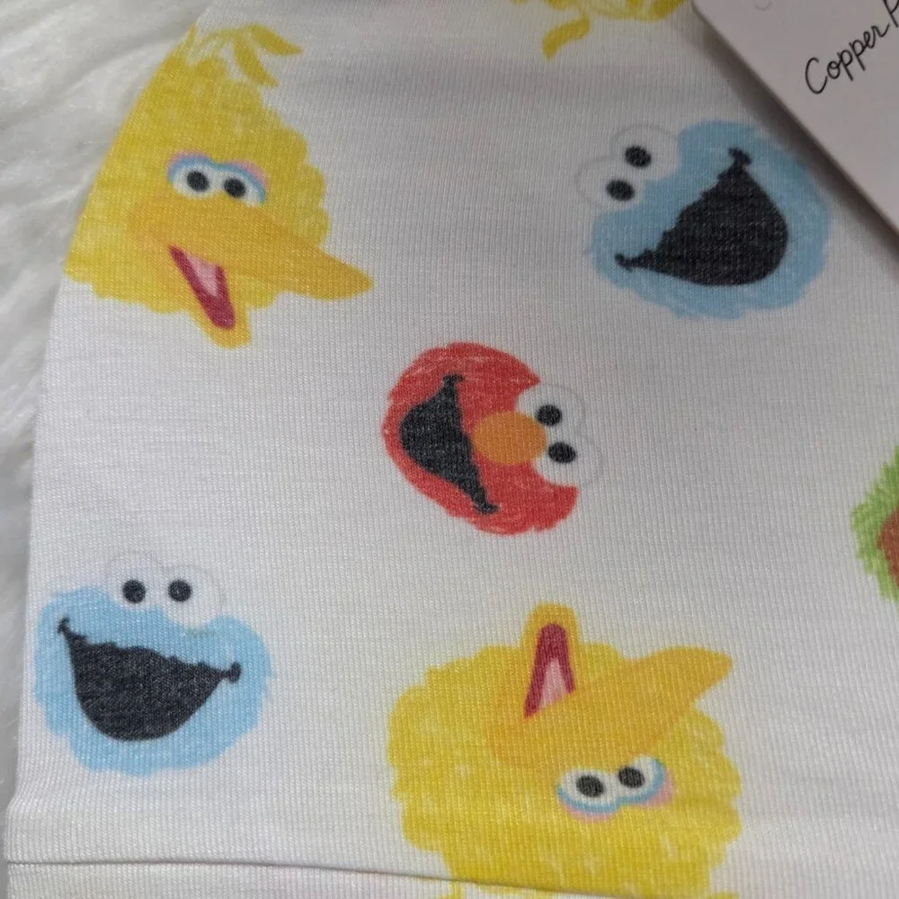 Copper Pearl x Sesame Street Newborn Top Knot Hat
